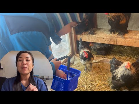 ทักทายที่ทำงานรอเดินกับพร้อมเด