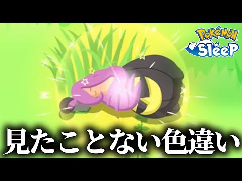 見たことないポケモンと見たことない食材!!AAA狙うしかないやろおおお！！【ポケモンスリープ】
