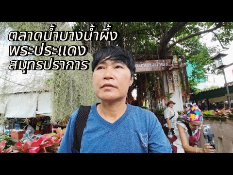 ตลาดน้ำบางน้ำผึ้งพระประแดงสม