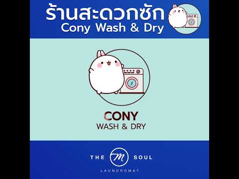 เปิดแล้ววันนี้!!!ConyWash&Dr