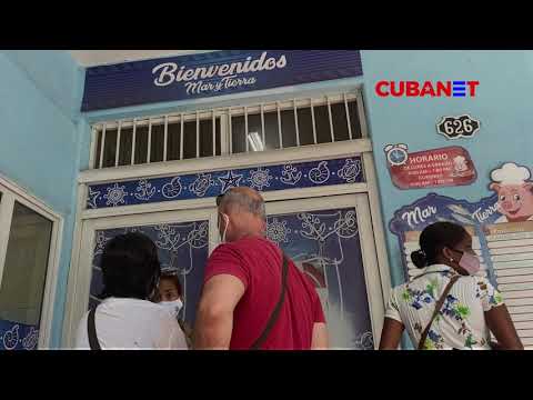 Con altos precios y escasez: Así empieza la venta de pescado y mariscos en La Habana