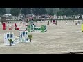 Eventing Pferd Super fijne internatonale eventer