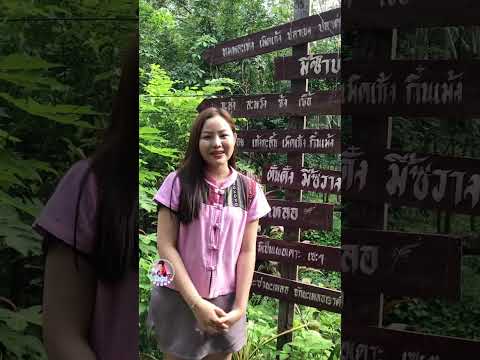 สาวภูไทมาสอนเว้าภาษาภูไทละเบ๋อ