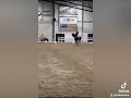 Dressage horse 12-jarige werkwillige merrie