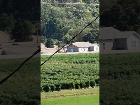 Floodwaters carry house in Washington County, Tennessee #shorts