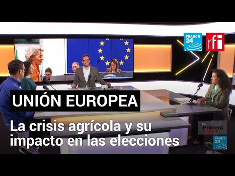 La crisis agrícola marca la antesala de las elecciones europeas • FRANCE 24 Español