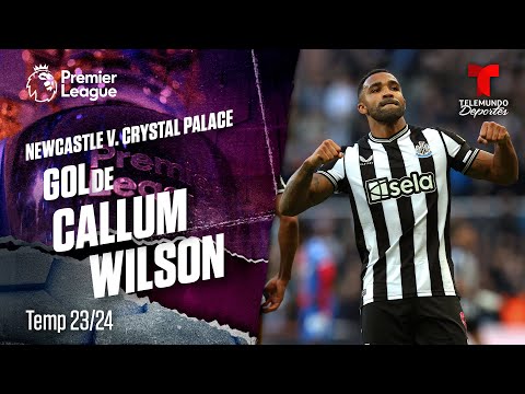 Goal de Callum Wilson: Newcastle v. Crystal Palace 23-24 | Premier League | Telemundo Deportes
