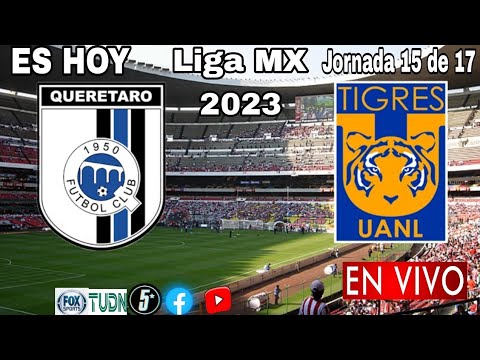 Querétaro vs. Tigres en vivo, donde ver, a que hora juega Querétaro vs. Tigres Liga MX 2023