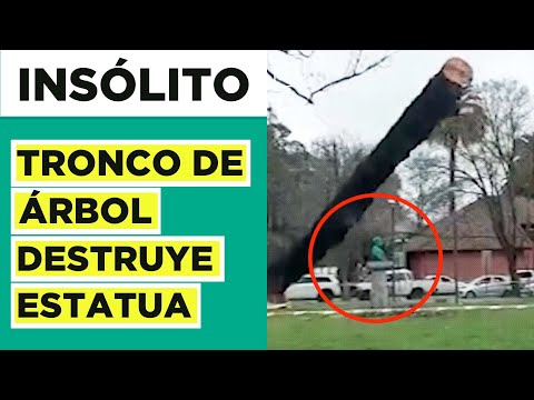 Tronco de árbol destruye estatua de Simón Bolívar en Concepción