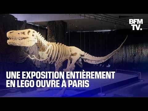 Un dinosaure de 80.000 briques, La Nuit étoilée: une exposition entièrement en Lego ouvre à Paris