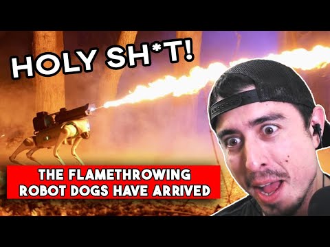 It's over. the flamethrowing robot dogs have finally arrived