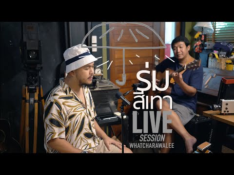 ร่มสีเทา-Live-session---วัชราว ร่มสีเทา-Live-session---วัชราว