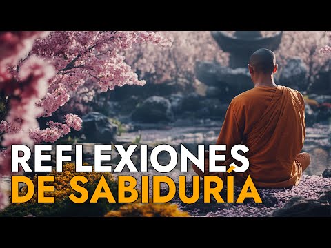 Historias y Lecciones para la Vida ¦ Reflexiones, Amor Propio