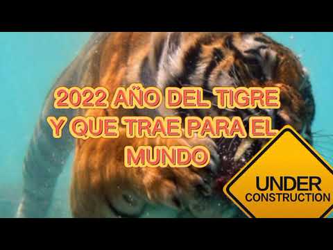 2022 AÑO DEL TIGRE Y COMO VIENE PARA TODOS