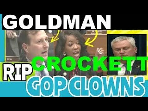 Dan Goldman & Stacey Plaskett silence James Cromer GOP Circus