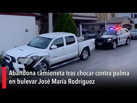 Abandona camioneta tras chocar contra palma en bulevar Jose? Mari?a Rodri?guez