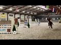 Show jumping horse Talentvol springpaard