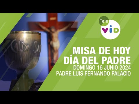 Misa de hoy día del Padre  Domingo 16 Junio de 2024, Padre Luis Fernando Palacio #TeleVID #Misa