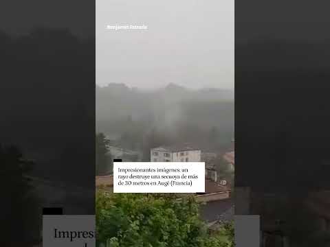 Un rayo destroza una gran secuoya de 35 metros de altura en Augé (Francia)