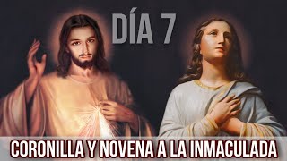 Coronilla y Día 7 Novena a la Inmaculada Concepción