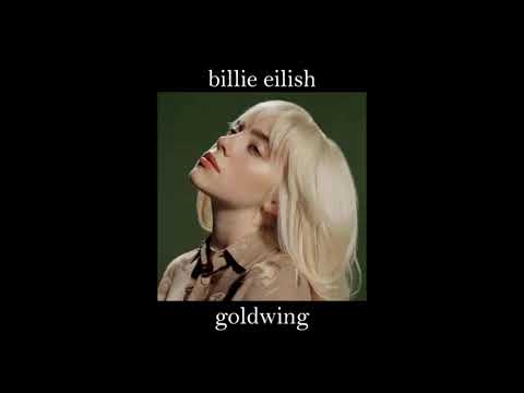 Billie Eilish Goldwing Second Part 1 HOUR