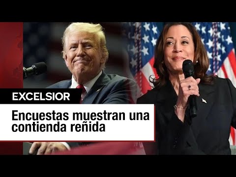 Kamala Harris vs. Donald Trump: ¿quién va ganando según las encuestas?