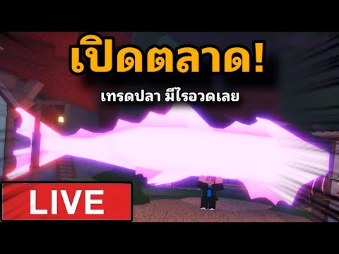 🔴LIVEเปิดตลาอดเทรดปลาดุๆดุด