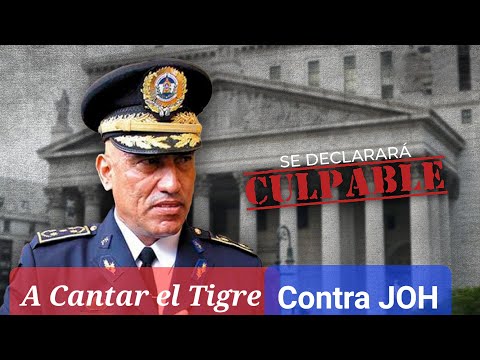 El Tigre' Bonilla se Declara Culpable Ante Juez Castel, se Complica la Situacion para JOH!
