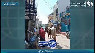 وش عرفها في الخيل