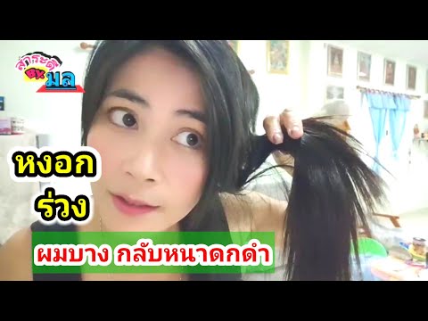ผมหงอก-ร่วง-บาง-หัวล้าน-กลับดก ผมหงอก-ร่วง-บาง-หัวล้าน-กลับดก