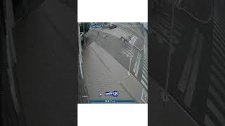 خيل ينتقم من صاحبه