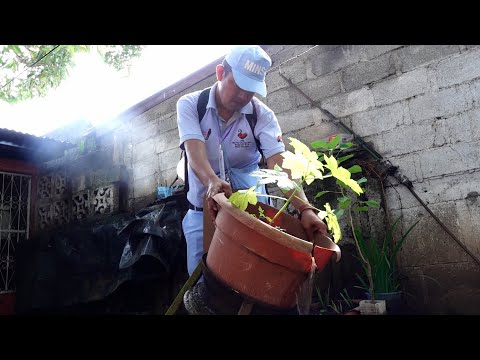 Más de mil viviendas abatizadas en el barrio La Primera