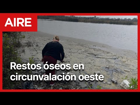 Macabro: fue a poner una cruz donde hallaron restos de un cuerpo y encontró más huesos