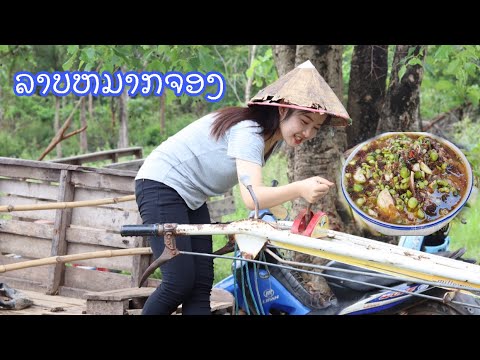 ลาบบักจอง...ลาบลูกสำรอง ลาบบักจอง...ลาบลูกสำรอง