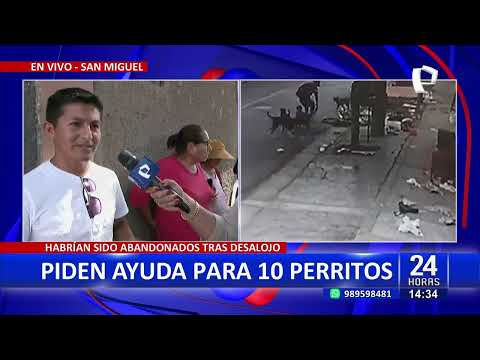 24Horas VIVO San Miguel: Piden ayuda para 10 perritos