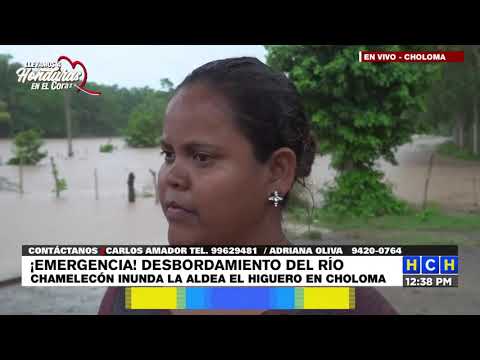#HCHCholoma | Anegada zona agrícola de aldea El Higuero por crecida del río Chamelecón