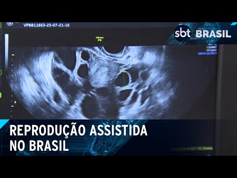 Reprodução assistida ainda é muito inacessível no Brasil | SBT Brasil (23/03/2024)