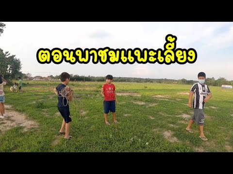 ตอนพาชมแพะในฟาร์ม ตอนพาชมแพะในฟาร์ม