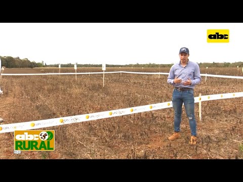 ABC Rural: Desecación de malezas preparando la siembra de soja con UPL