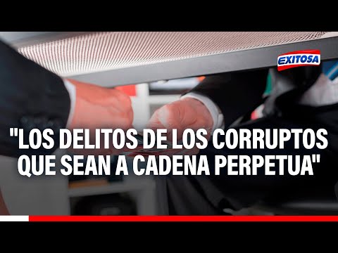 Mario Camacho: Los delitos de los corruptos que sean a cadena perpetua