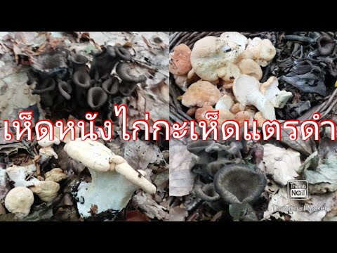 07092024เจอแบบนี้สุดยอดไปเลยจ้