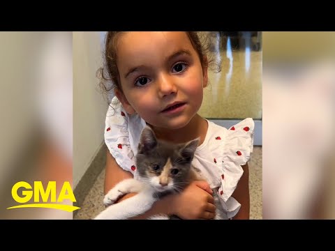 3-year-old chose the sick kitten at the shelter. Now they sleep together nightly