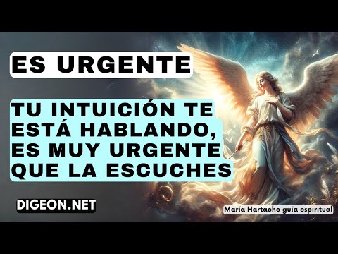 DEBE SER AHORAMENSAJE DE LOS ÁNGELES PARA TI -DIGEON-  Arcángel Sandalfón -Ens VERTI