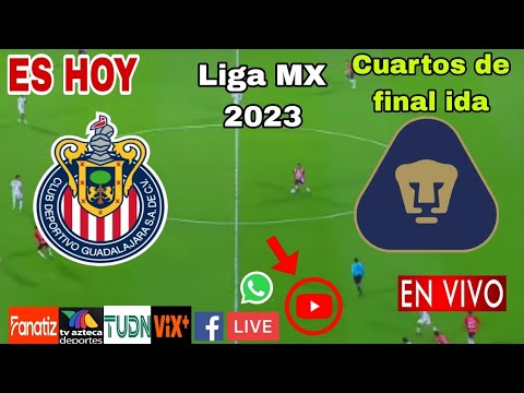 Chivas vs. Pumas en vivo, donde ver, a que hora juega Chivas vs. Pumas Liga MX 2023
