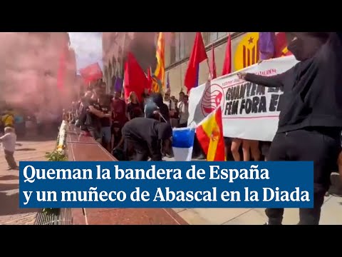 Jóvenes de Arran queman la bandera de España y un muñeco de Abascal en la Diada