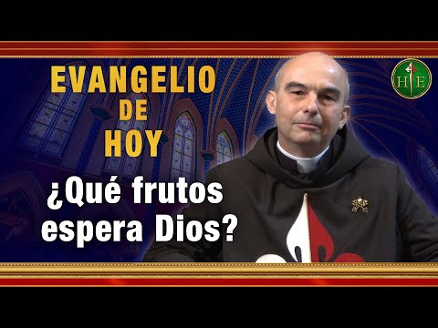 EVANGELIO DE HOY - Viernes 28 de Mayo | ¿Qué frutos espera Dios