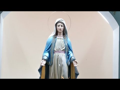 Santo Rosario PSJA - 12 De Octubre De 2022