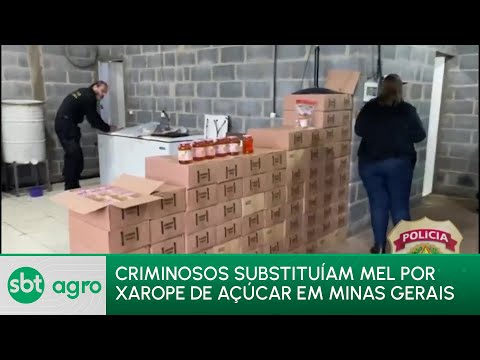SBT Agro 26/02/24: Criminosos vendem xarope de açúcar como se fosse mel verdaeiro em Minas Gerais