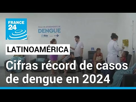Casos de dengue en América Latina se triplicaron en el primer semestre de 2024