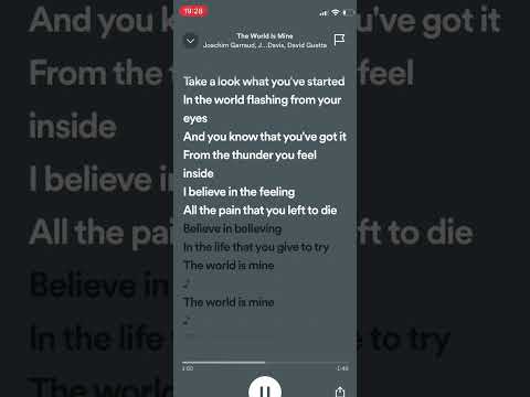 The world is mine (joachim garraud ‚J davis ‚ David guetta)